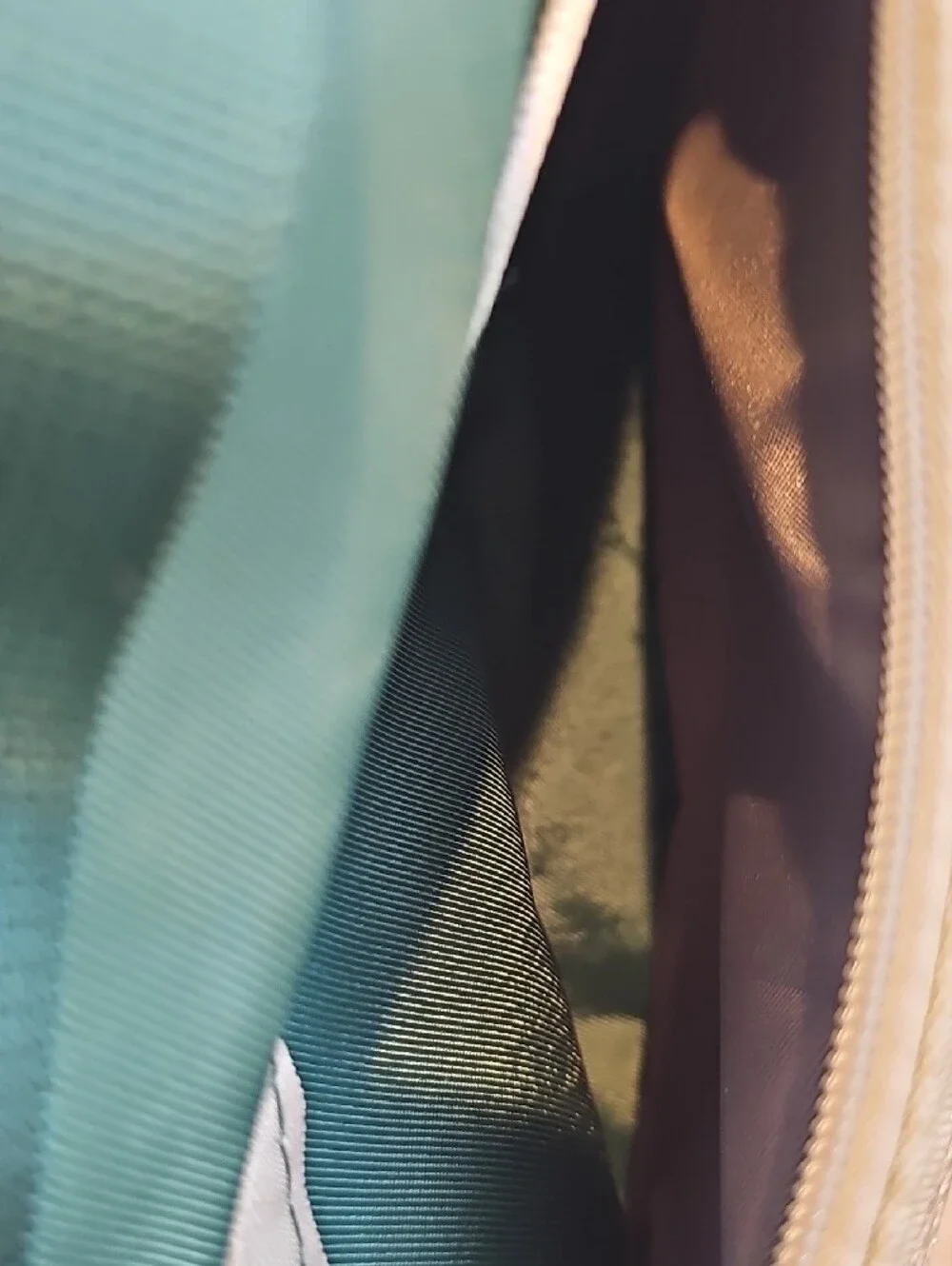 Green Men's & Women's Backpack with Brown Accents